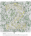 Free maze